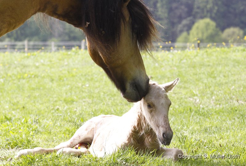 Hjoerdis 10 Min alt (10).JPG